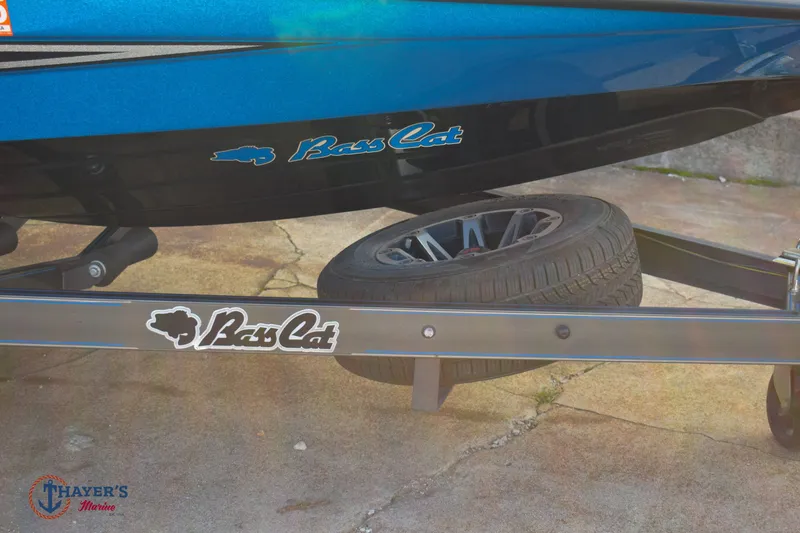 Slide: The Image of Bass Cat Eyra 2021 - 2