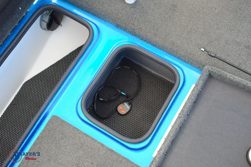 Slide: The Image of Bass Cat Eyra 2021 - 22