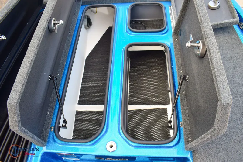 Slide: The Image of Bass Cat Eyra 2021 - 24