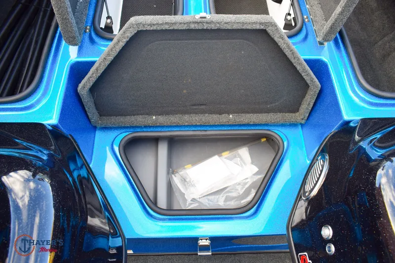 Slide: The Image of Bass Cat Eyra 2021 - 25