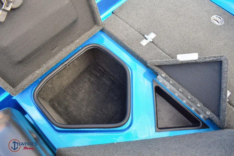 Slide: The Image of Bass Cat Eyra 2021 - 29