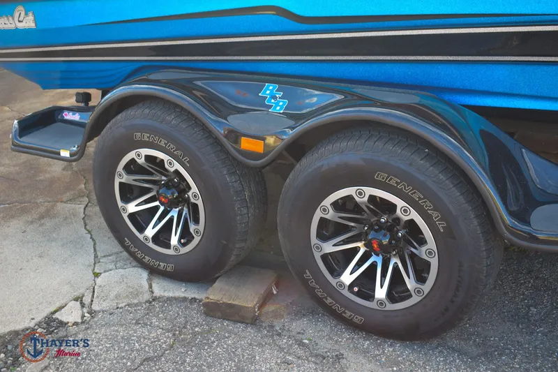 Slide: The Image of Bass Cat Eyra 2021 - 3