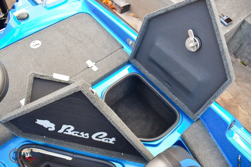 Slide: The Image of Bass Cat Eyra 2021 - 32