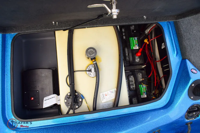 Slide: The Image of Bass Cat Eyra 2021 - 33