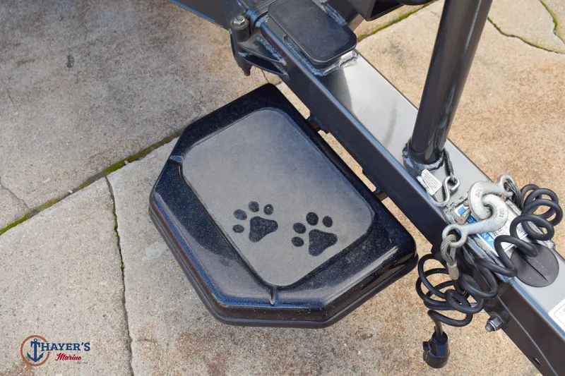 Slide: The Image of Bass Cat Eyra 2021 - 34