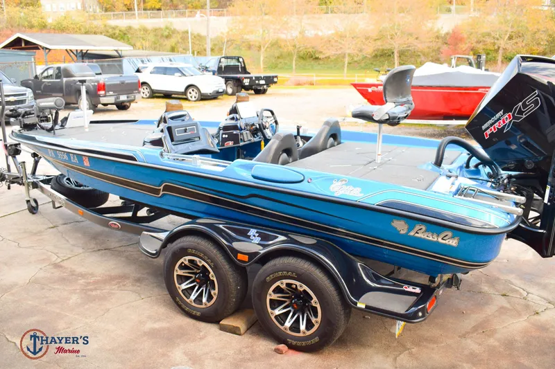 Slide: The Image of Bass Cat Eyra 2021 - 35