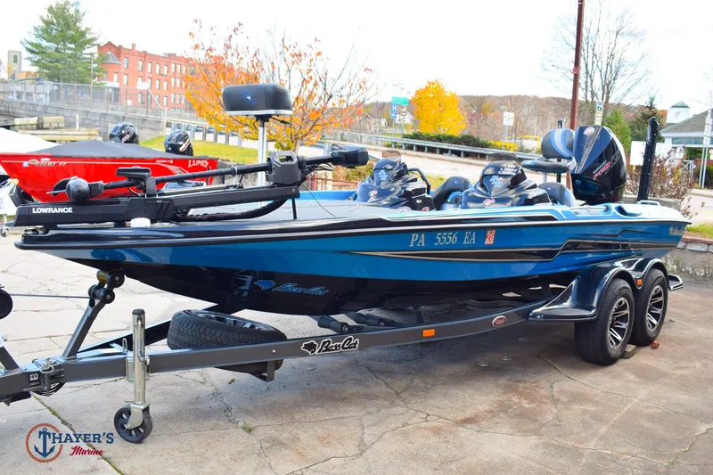 Slide: The Image of Bass Cat Eyra 2021 - 37