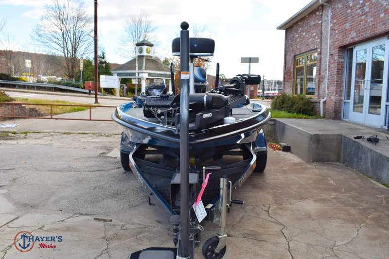 Slide: The Image of Bass Cat Eyra 2021 - 38