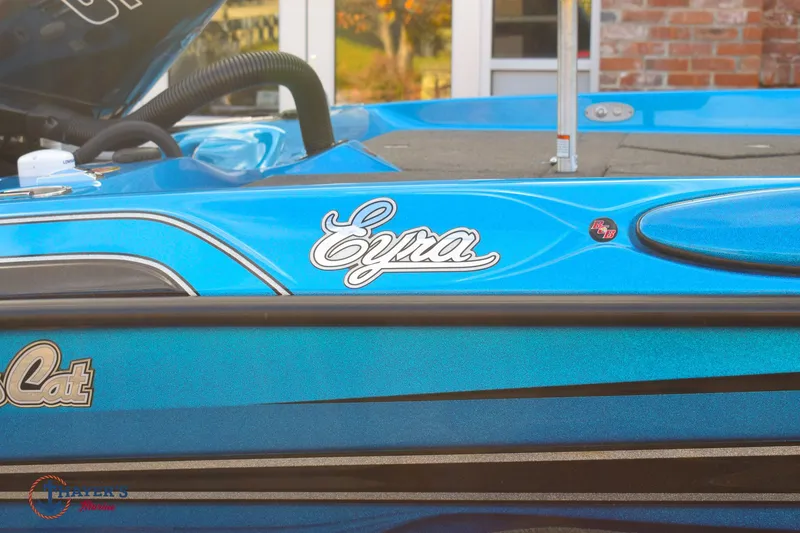 Slide: The Image of Bass Cat Eyra 2021 - 4