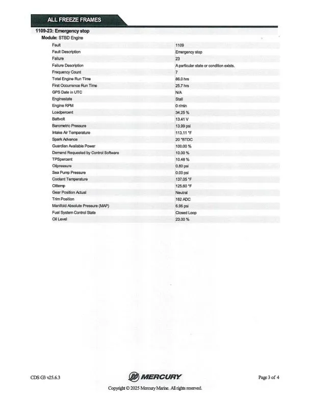 Slide: The Image of Bass Cat Eyra 2021 - 41