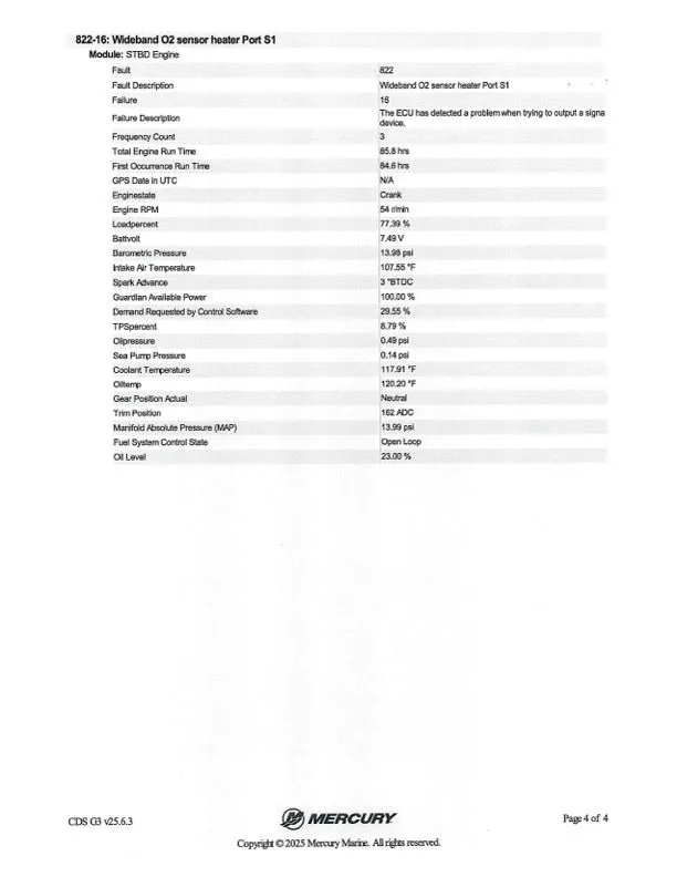 Slide: The Image of Bass Cat Eyra 2021 - 42