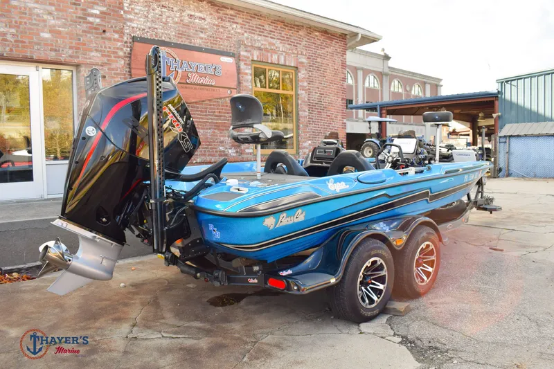 Slide: The Image of Bass Cat Eyra 2021 - 5