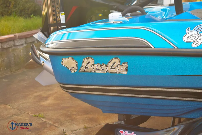 Slide: The Image of Bass Cat Eyra 2021 - 6