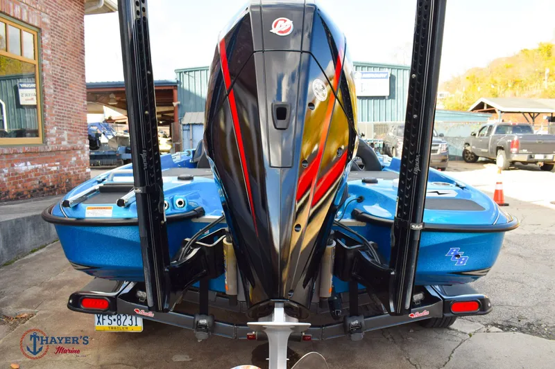 Slide: The Image of Bass Cat Eyra 2021 - 7