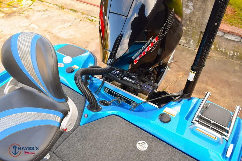 Slide: The Image of Bass Cat Eyra 2021 - 8