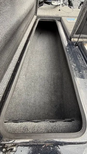 Slide: The Image of Bass Cat Puma 2025 - 11