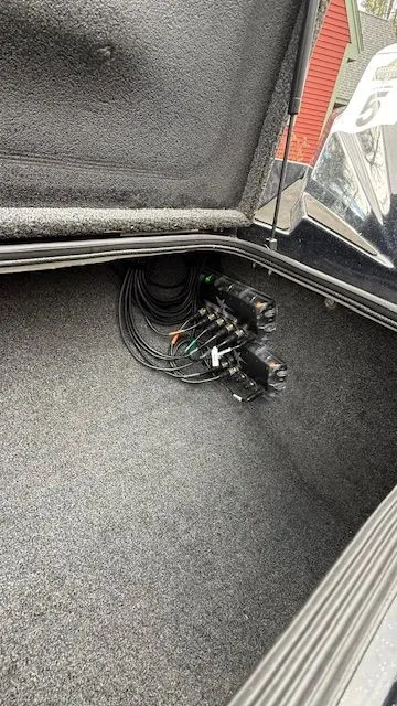 Slide: The Image of Bass Cat Puma 2025 - 12