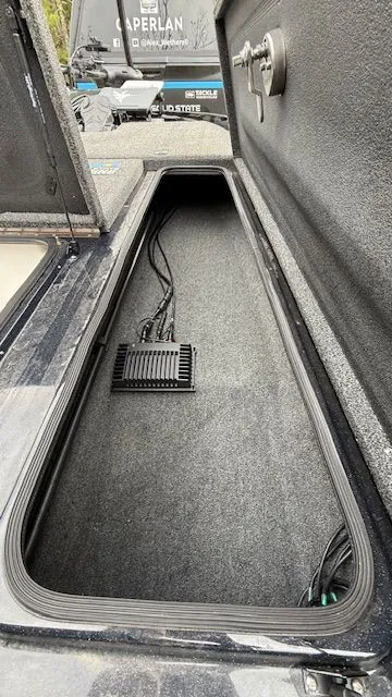 Slide: The Image of Bass Cat Puma 2025 - 13