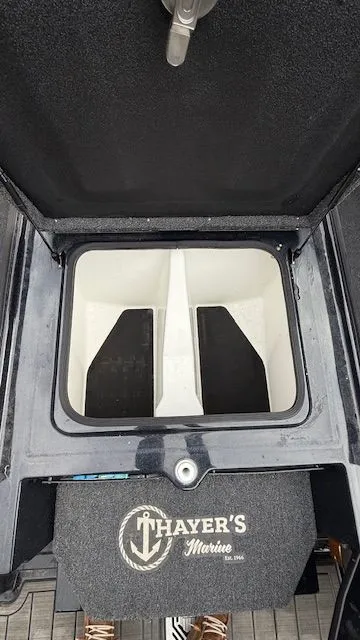 Slide: The Image of Bass Cat Puma 2025 - 14