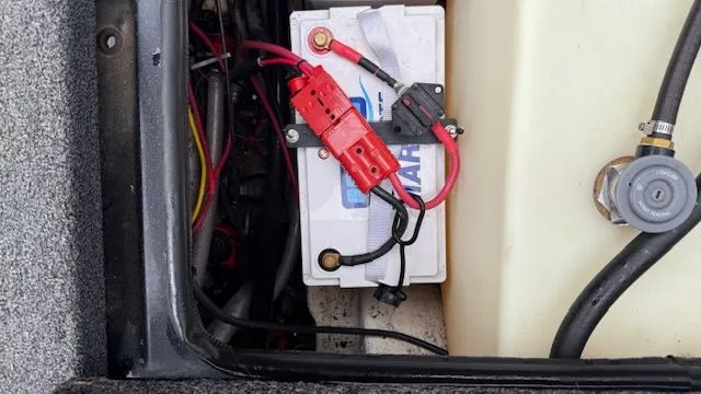 Slide: The Image of Bass Cat Puma 2025 - 19