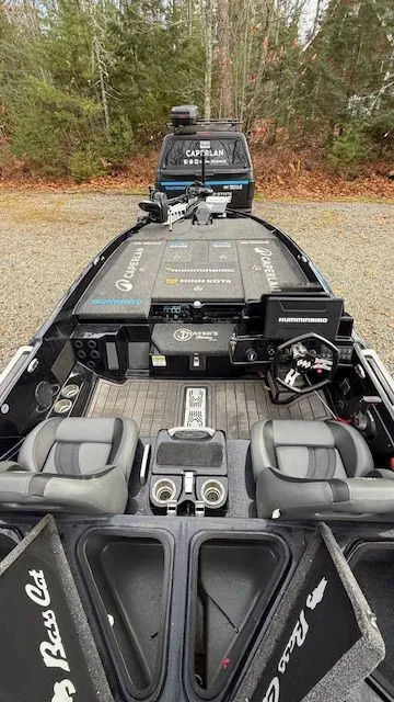 Slide: The Image of Bass Cat Puma 2025 - 5