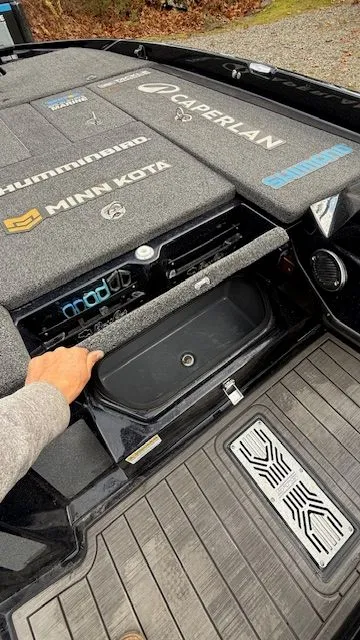 Slide: The Image of Bass Cat Puma 2025 - 9