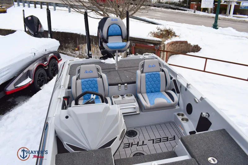 Slide: The Image of Bass Cat Cougar FTD SP 2026 - 17