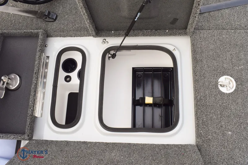 Slide: The Image of Bass Cat Cougar FTD SP 2026 - 22