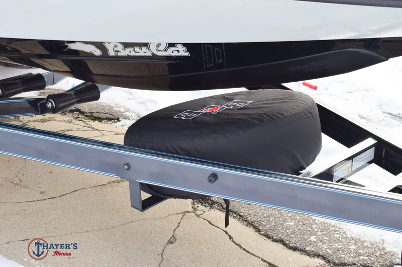 Slide: The Image of Bass Cat Cougar FTD SP 2026 - 3