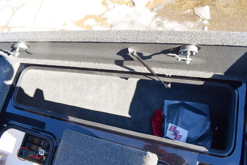 Slide: The Image of Bass Cat Cougar FTD SP 2026 - 25