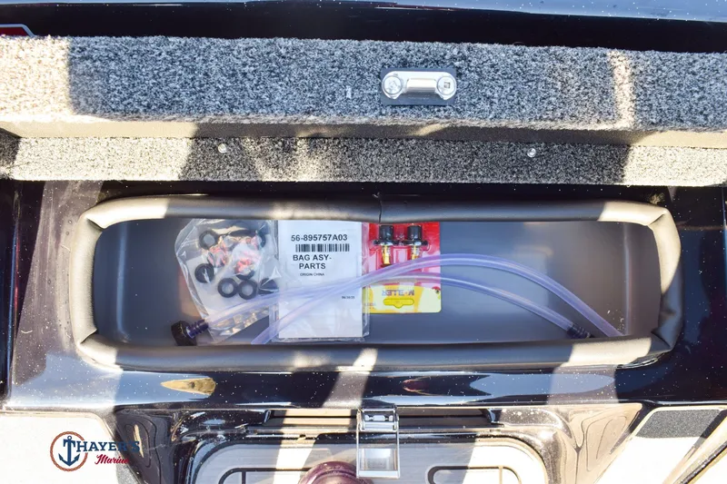 Slide: The Image of Bass Cat Cougar FTD SP 2026 - 26