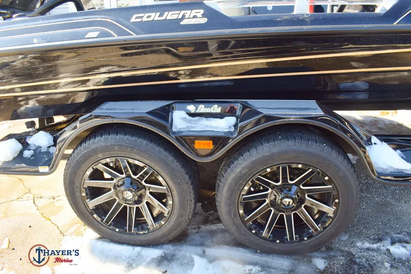 Slide: The Image of Bass Cat Cougar FTD SP 2026 - 5