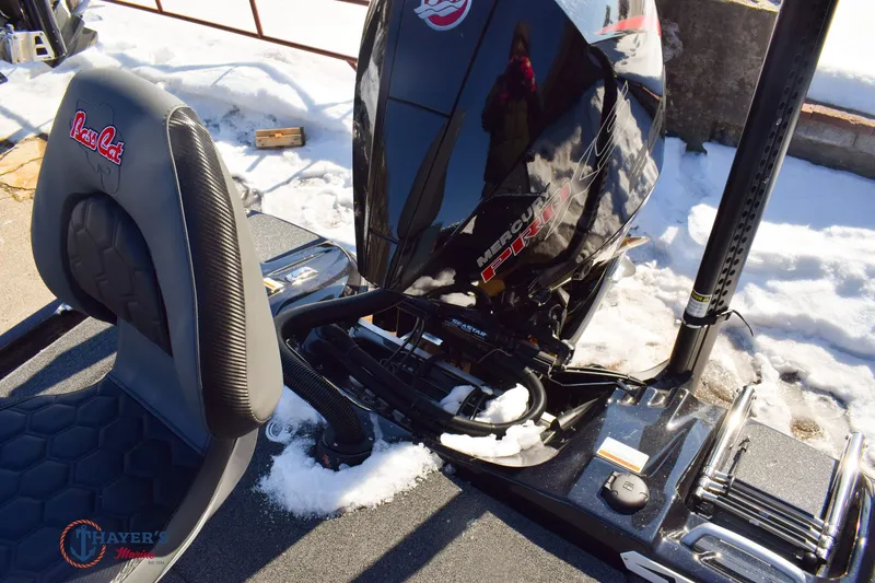 Slide: The Image of Bass Cat Cougar FTD SP 2026 - 9