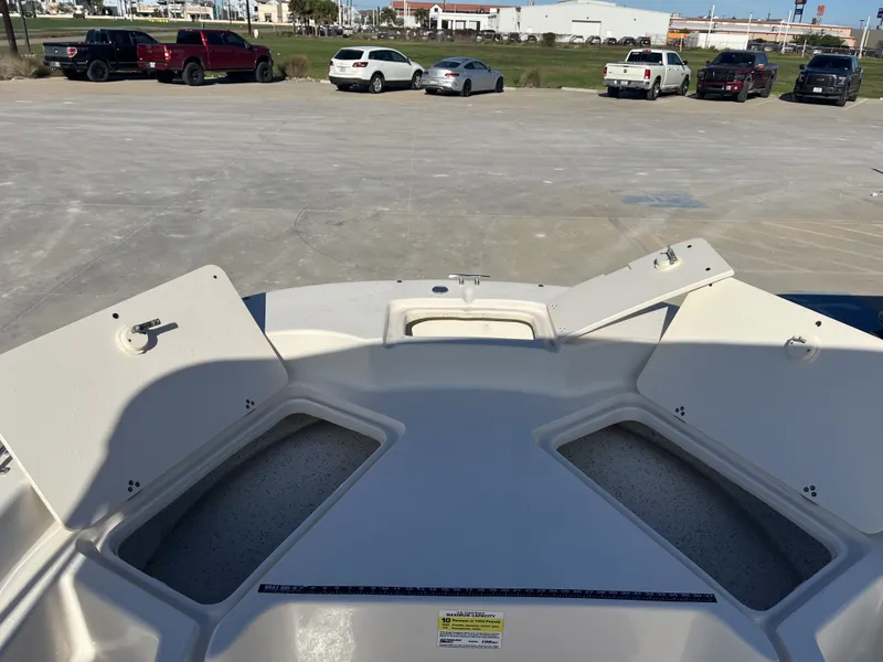 Slide: The Image of Carolina 198 DLV 2018 - 13