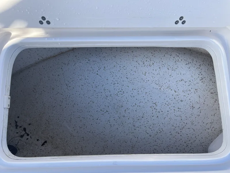 Slide: The Image of Carolina 198 DLV 2018 - 14