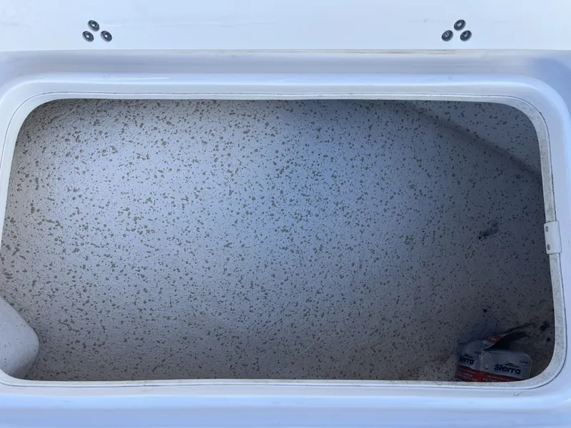 Slide: The Image of Carolina 198 DLV 2018 - 15