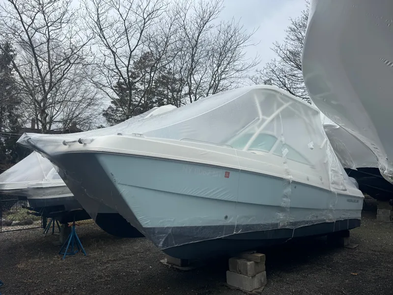 The Image of World Cat 230 SD 2023 - 1