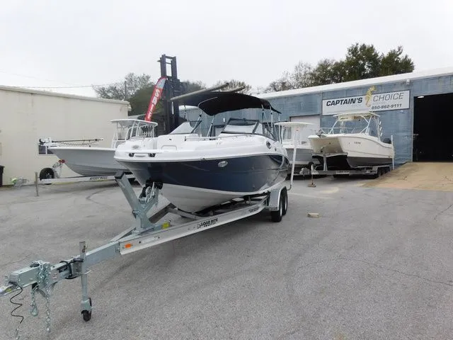 Slide: The Image of Stingray 231 DC 2026 - 4