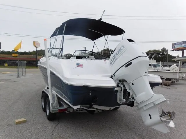 Slide: The Image of Stingray 231 DC 2026 - 8