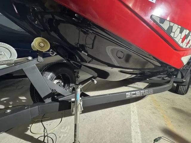 Slide: The Image of Scarab 195 ID 2021 - 11