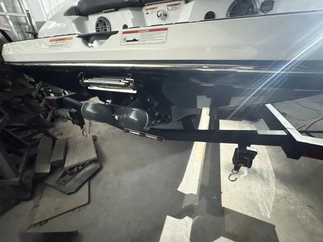 Slide: The Image of Scarab 195 ID 2021 - 13