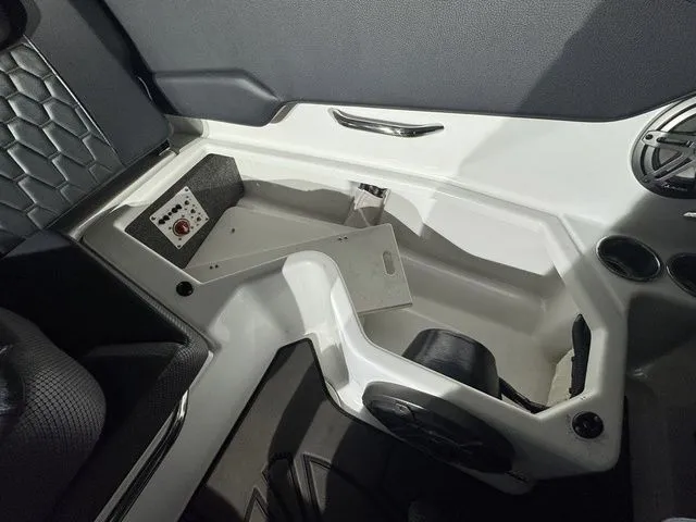 Slide: The Image of Scarab 195 ID 2021 - 21