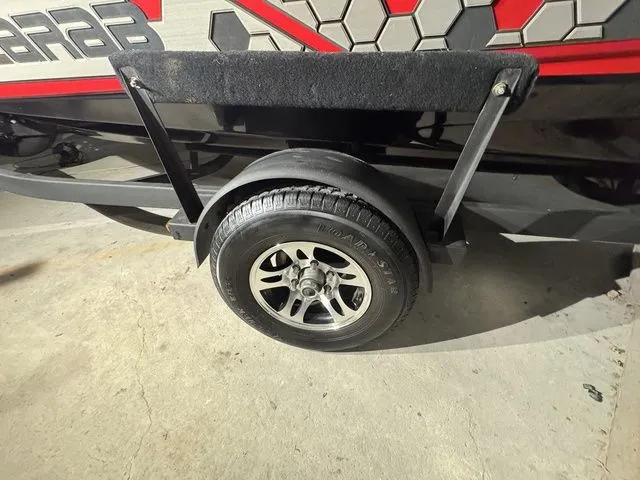 Slide: The Image of Scarab 195 ID 2021 - 3