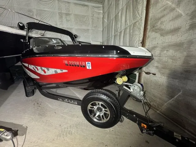 Slide: The Image of Scarab 195 ID 2021 - 4