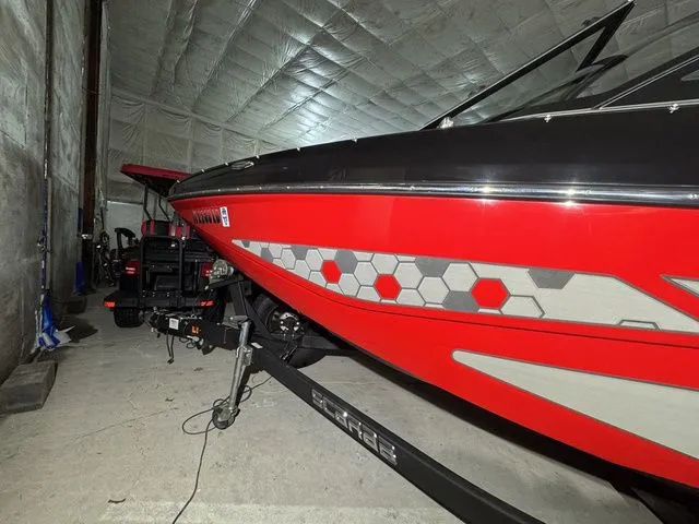 Slide: The Image of Scarab 195 ID 2021 - 9