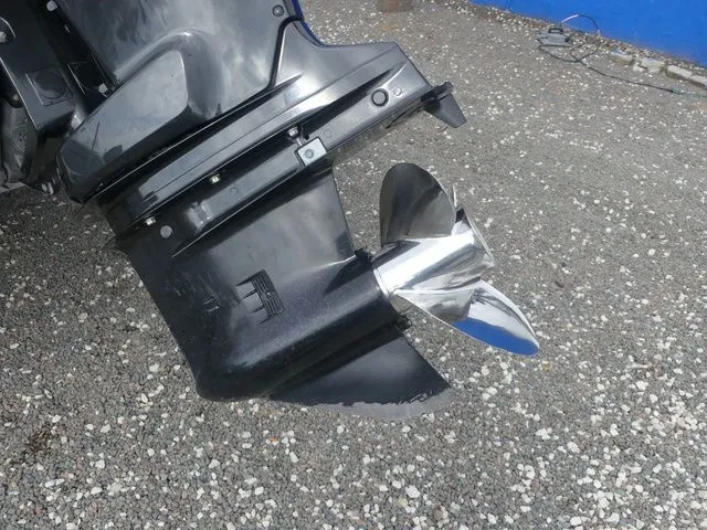 Slide: The Image of Sea Born FX24 Bay 2016 - 11