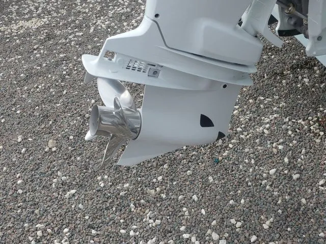 Slide: The Image of Sea Pro 240 Dual Console DLX 2025 - 10