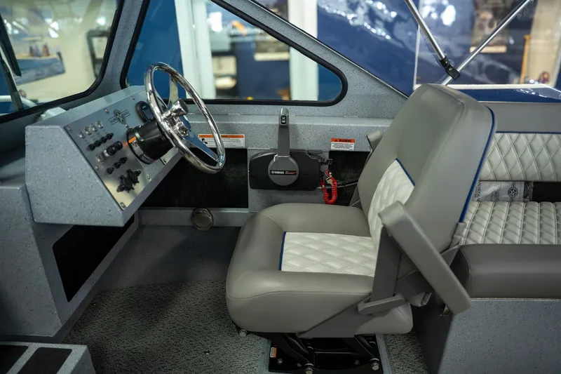 Slide: The Image of Allied 21 Mustang 2026 - 11