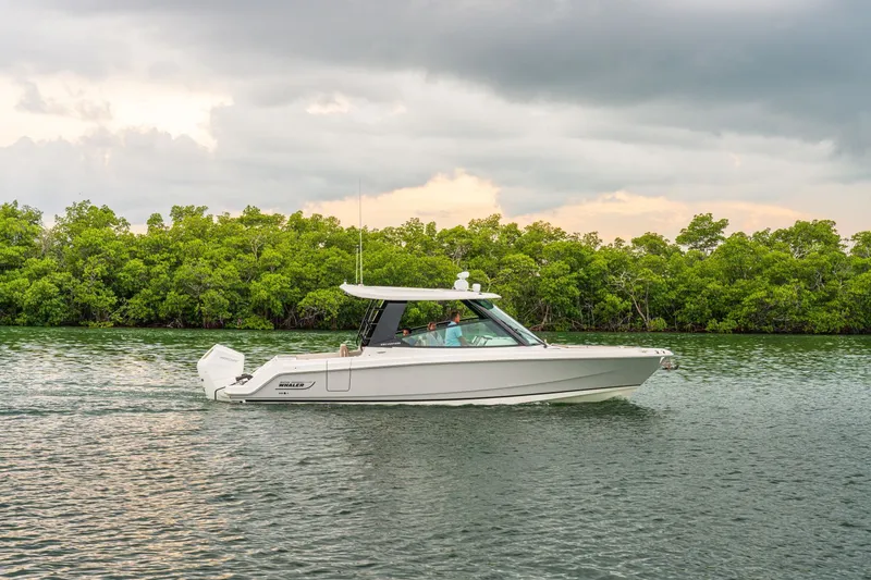 Slide: The Image of A white motorboat cruises on calm water with a green shoreline in the background. - 4