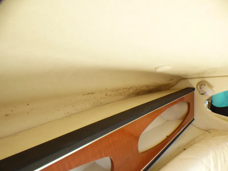 Slide: The Image of Interior of 2003 Sea Ray 260 Sundancer showing ceiling and wooden trim detail. - 29